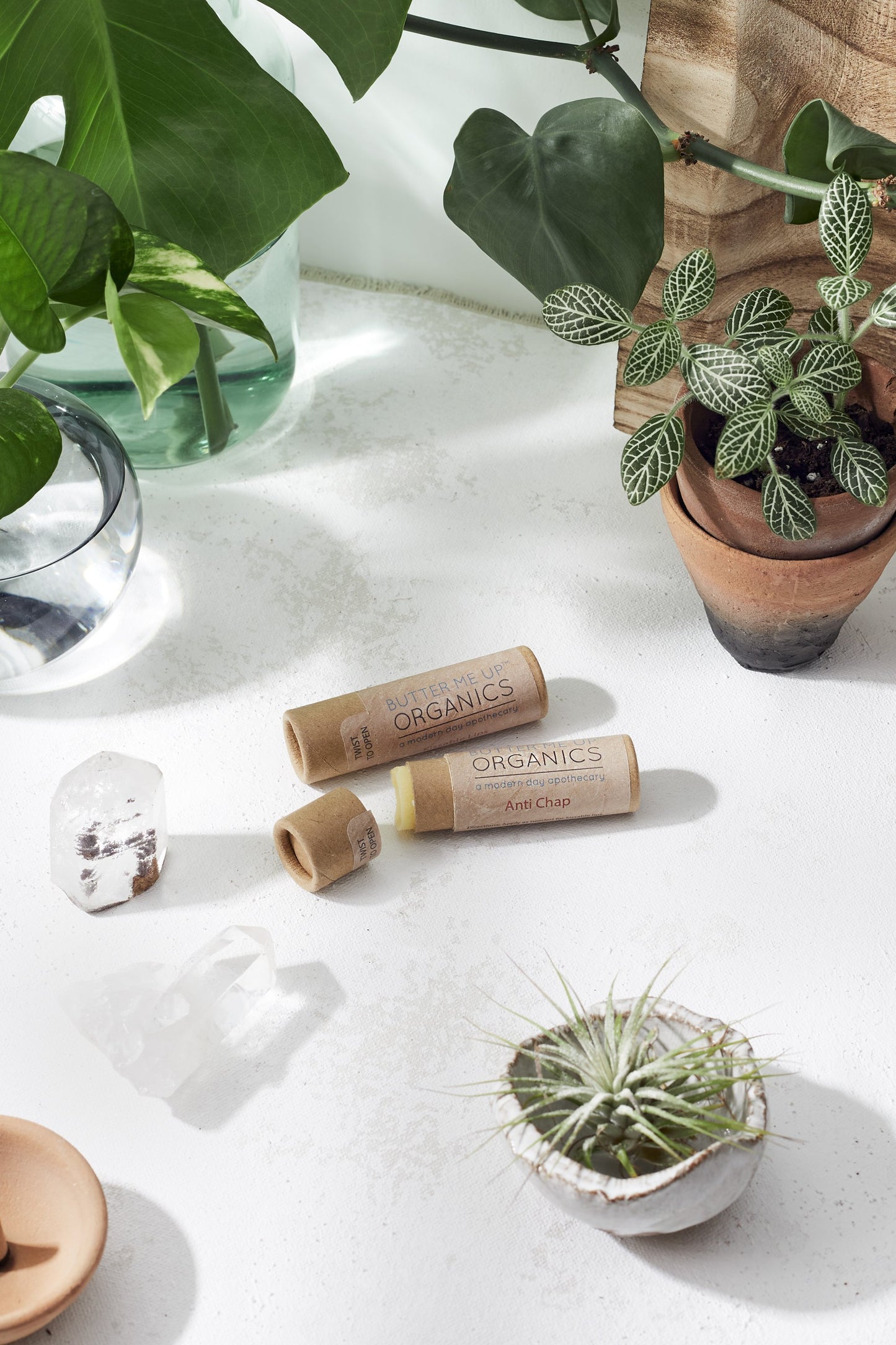 Organic Anti-Chap Lip Balm / Chapped Lips / Organic Lip Moisturizer / - Organify Me