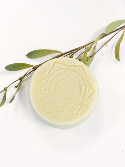 Organic Shampoo Bar / SLS FREE / Natural Shampoo / Clean Beauty / - Organify Me