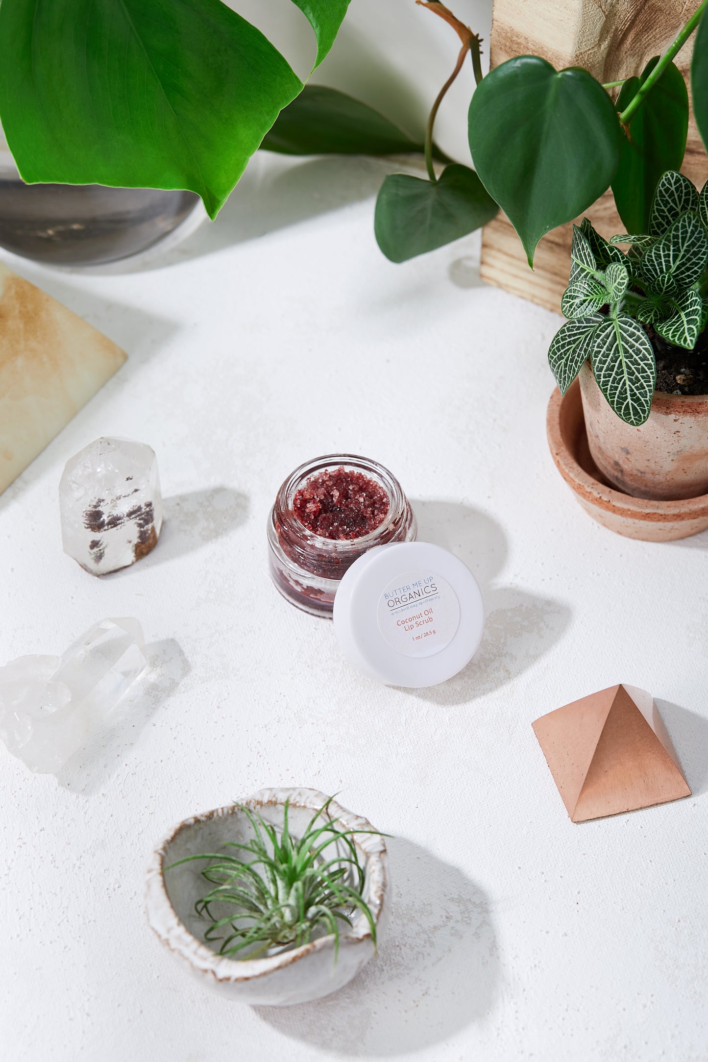 Organic Coconut Lip Scrub - Organify Me