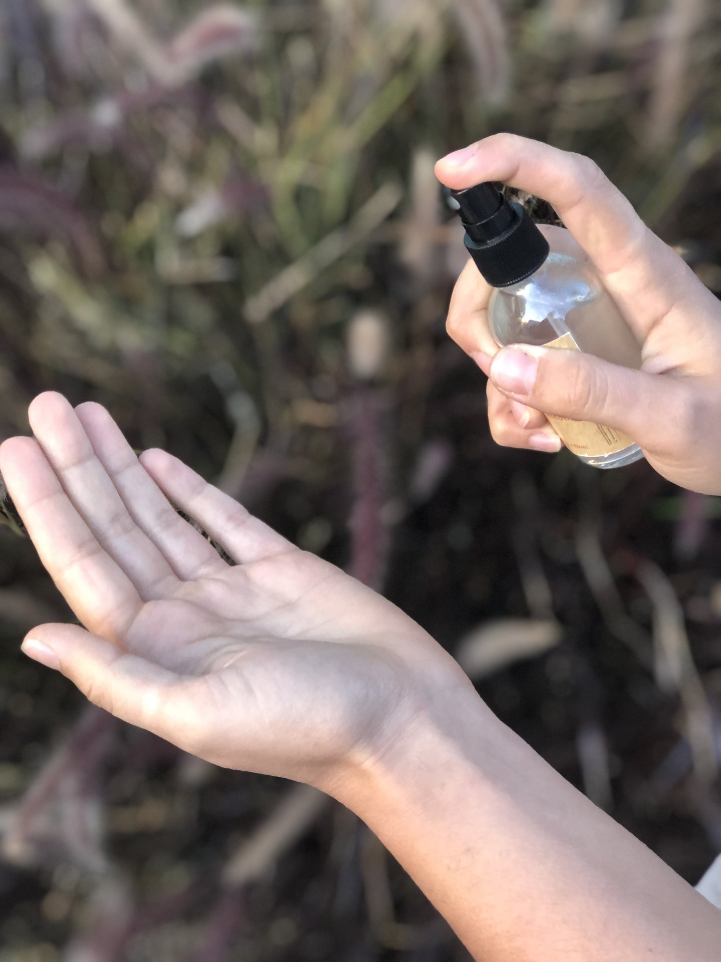 Organic Hand Sanitizer Triclosan Free / Organic Sanitizer / Butter Me - Organify Me