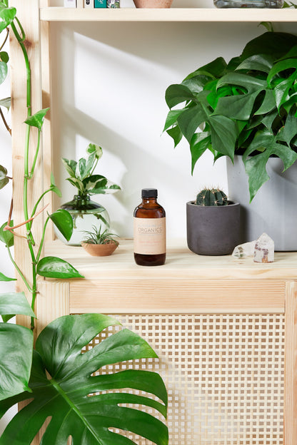 Natural Aged After Shave / Cologne Organic Bay Woodsy / Men’s Natural - Organify Me