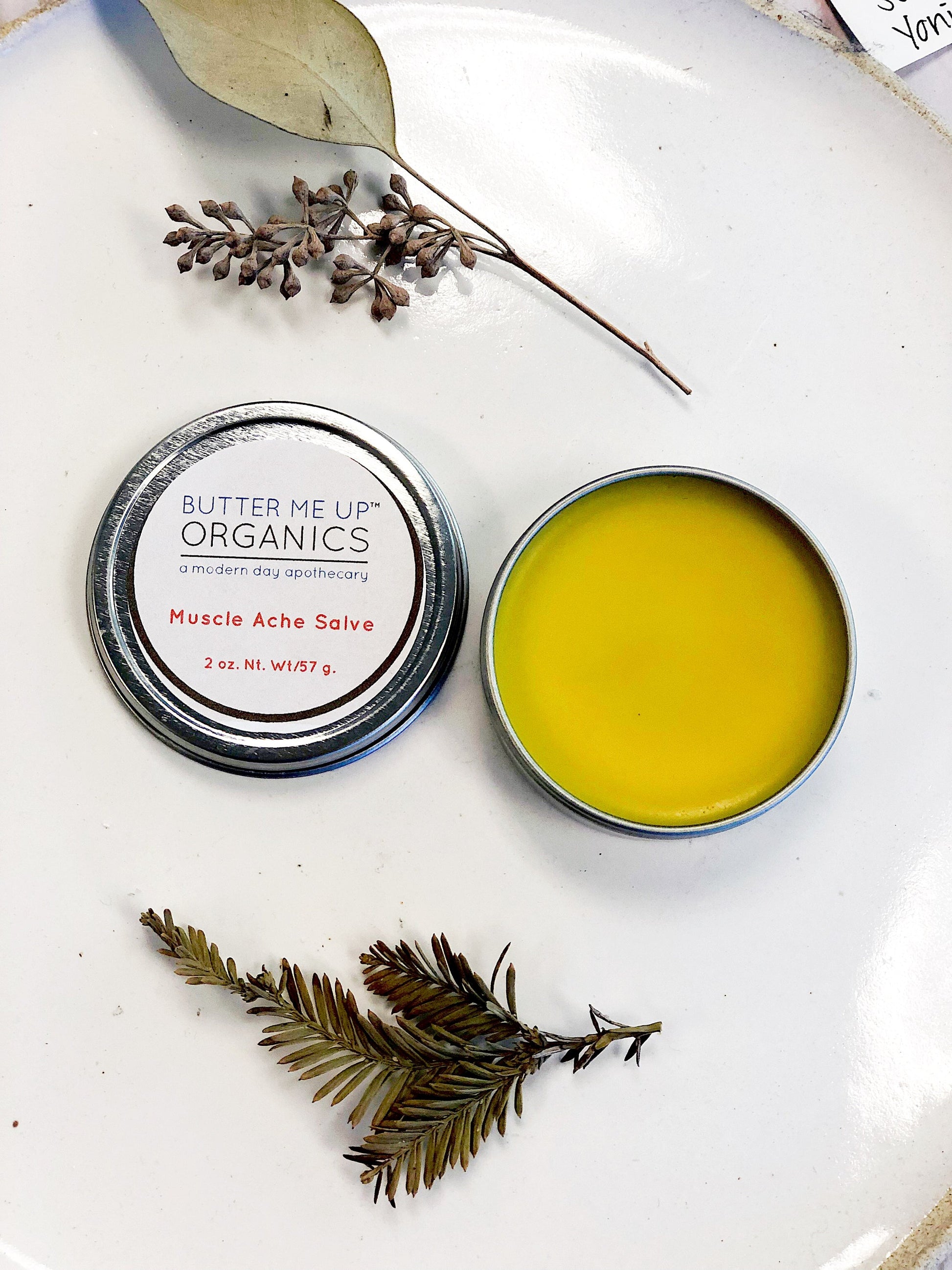 Organic Muscle Ache Salve w/ Cayenne / ZERO WASTE / Plastic Free - Organify Me